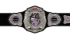 TNA Knockouts Television Championship