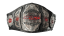 TNA Knockouts World Championship