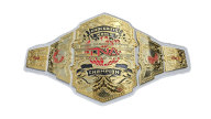 Tna knockouts world championship 24