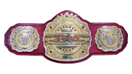 TNA Legends Championship