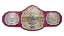 TNA King of the Mountain Championship
