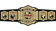TNA World Tag Team Championship TNA World Tag Team Championship