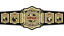 TNA World Tag Team Championship