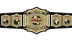 GFW World Tag Team Championship