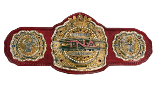 TNA Television Championship