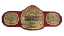 TNA King of the Mountain Championship