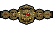 TNA World Championship TNA World Championship
