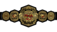 TNA World Championship