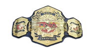 Tna world championship 24