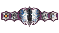 TNA World Heavyweight Championship (Immortal - Jeff Hardy)