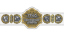 TNA World Heavyweight Championship