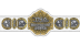 TNA World Heavyweight Championship (unofficial)