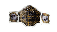 Tna world heavyweight championship unofficial