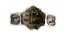TNA World Heavyweight Championship