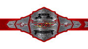 TNA World Tag Team Championship TNA World Tag Team Championship