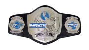 Impact World Tag Team Championship