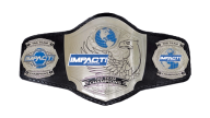 Impact World Tag Team Championship