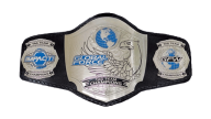 GFW World Tag Team Championship