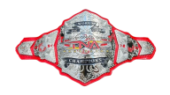 Tna world tag team championship 24