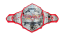 TNA World Tag Team Championship
