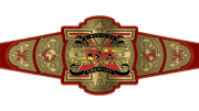 TNA X Division Championship TNA X Division Championship