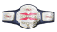 TNA X Division Championship