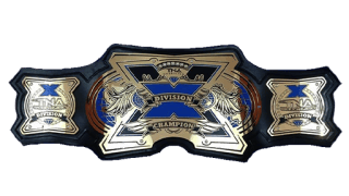 TNA X Division Championship