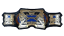 TNA X Division Championship