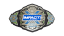 TNA X Division Championship