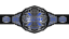 TNA X Division Championship