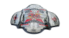 TNA X Division Championship