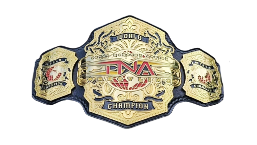 TNA World Championship - Title History