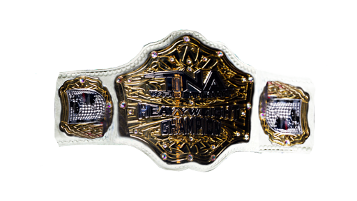 TNA World Heavyweight Championship