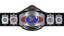 USWA Television Championship