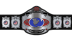 USWA Television Championship