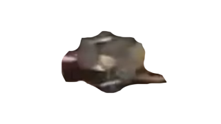 USWA Women's Championship USWA Women's Championship