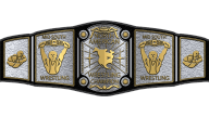 MSWA North American Heavyweight Championship MSWA North American Heavyweight Championship