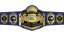 WCWA Texas Tag Team Championship