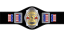 WCW World Television Championship