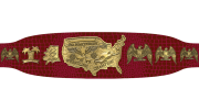 NWA United States Heavyweight Championship