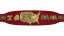 WWE United States Championship