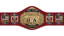 NWA United States Tag Team Championship