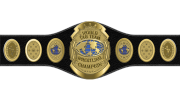 NWA World Tag Team Championship