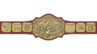 NWA World Tag Team Championship