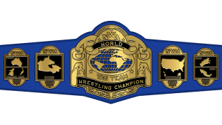 NWA World Tag Team Championship