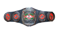 NWA Television Championship