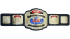 WCW World Television Championship
