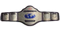 Wcw television championship