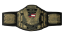WWE United States Championship