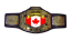 WWE United States Championship
